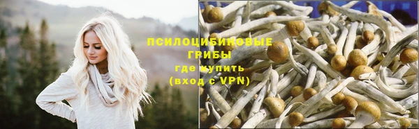 MESCALINE Новодвинск