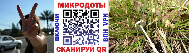 Псилоцибиновые грибы мухоморы  Купить  Сорск 